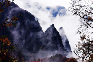 山城脈動(dòng) 周衡義鏡頭下的重慶瞬間